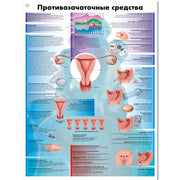 Birth Control Chart
