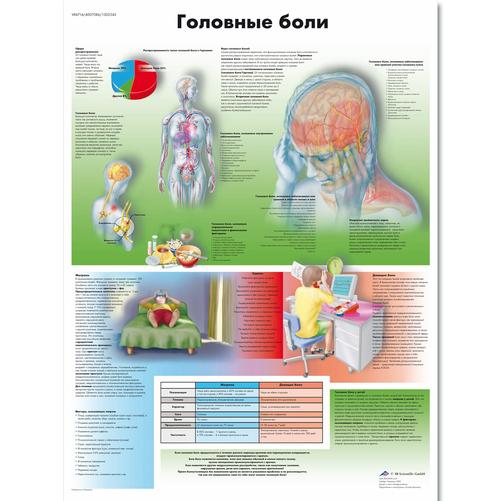 Headaches Chart