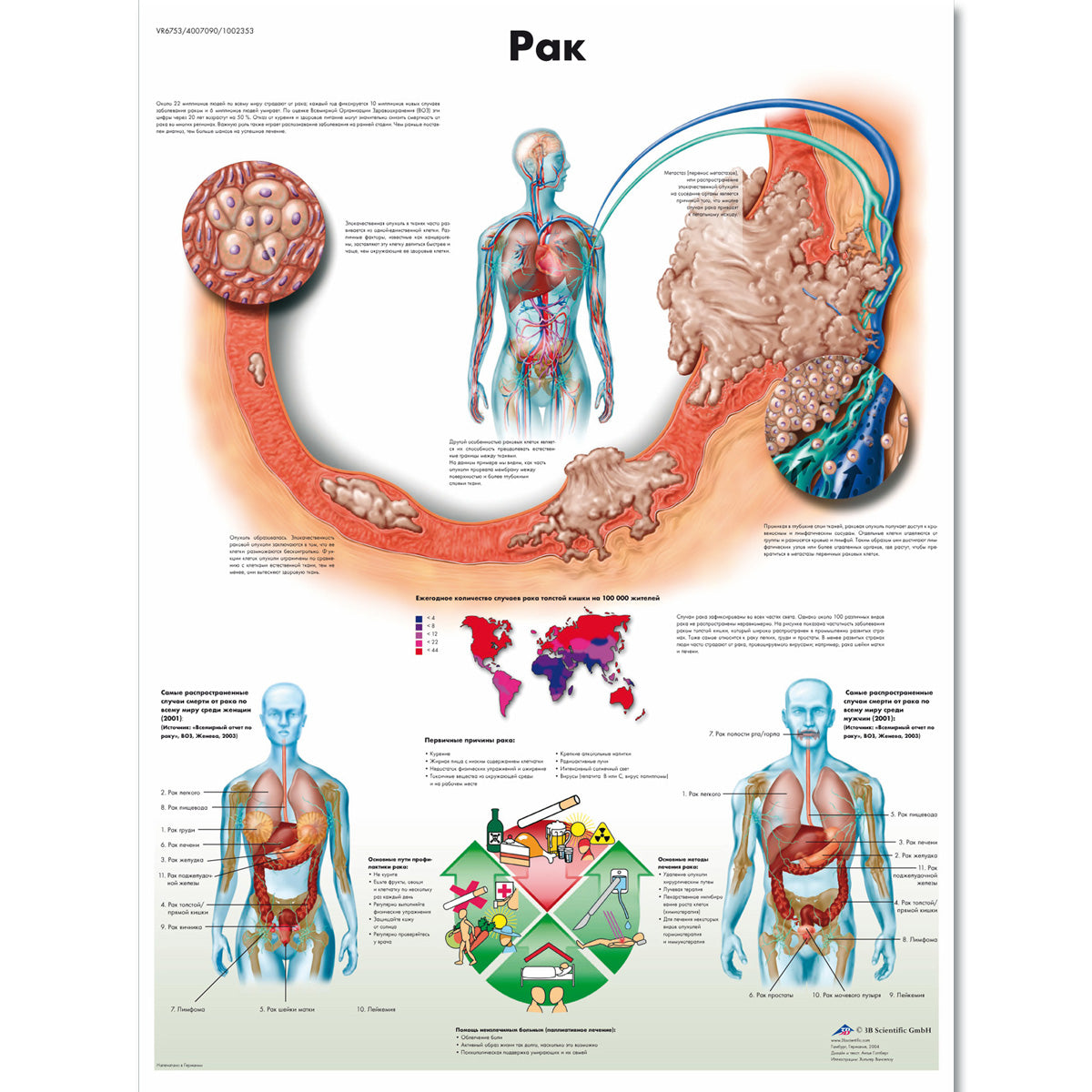 Cancer Chart