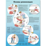 Basic Life Support Chart
