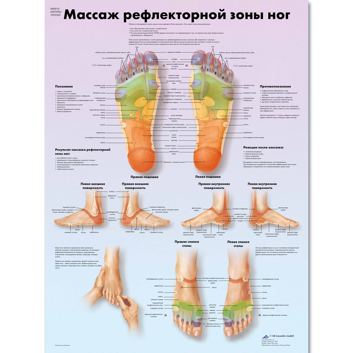 Foot Reflex Zone Massage Chart