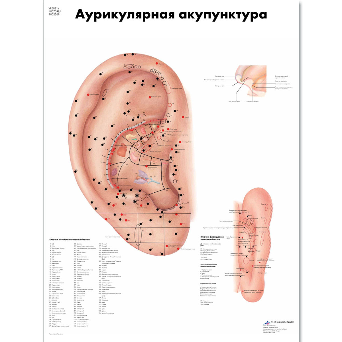 Ear Acupuncture Chart