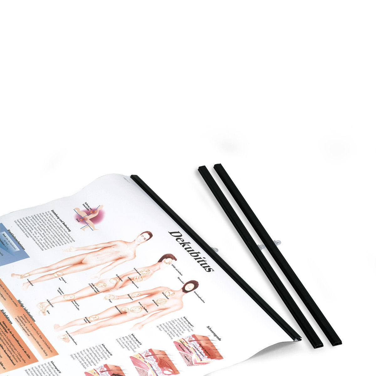 Rods for charts, black, pair, 50 cm