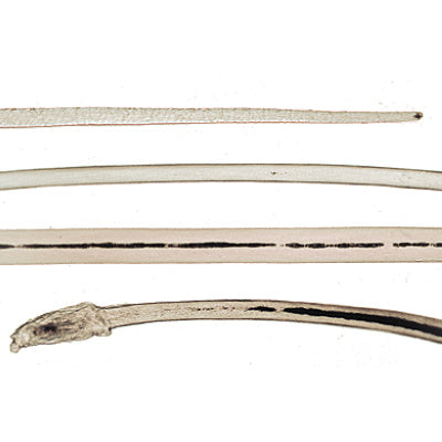 Human Scalp and Hair - German Slides