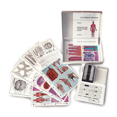 MULTIMEDIA TEACHER PACKAGE Mitosis and Meiosis (Cell division) Basic Package of 6 items