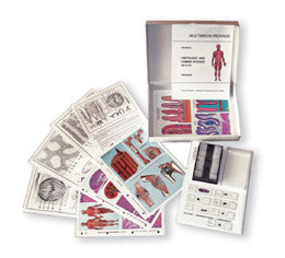 MULTIMEDIA STUDENT SET Genetic slides Basic Package of 6 items