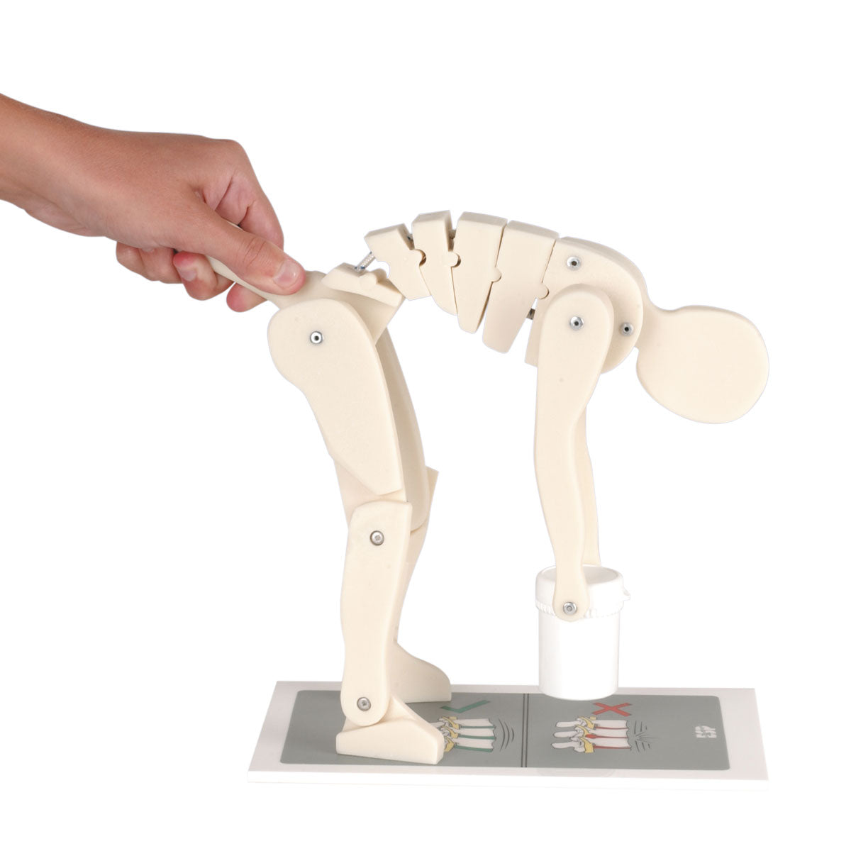 Lifting Demonstration Figure