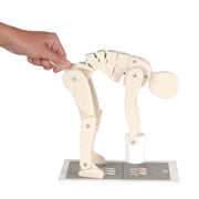 Lifting Demonstration Figure