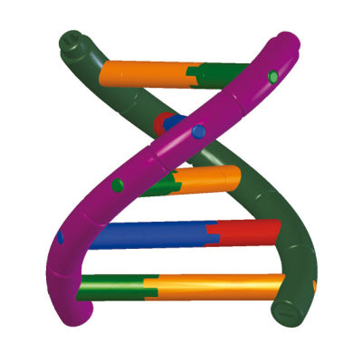 DNA Double Helix Model, Student Kit