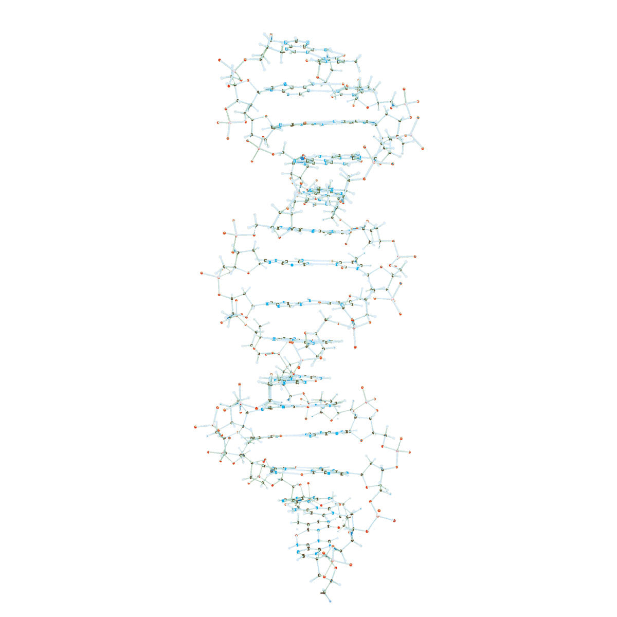 DNA Model