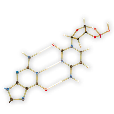 Student-Set 260 - Biochemistry, Orbit™