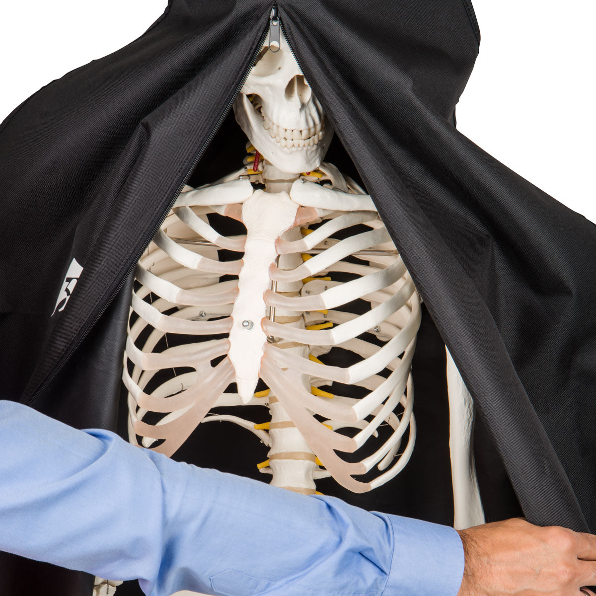 Heavy Duty Dust Cover for Skeletons-Black