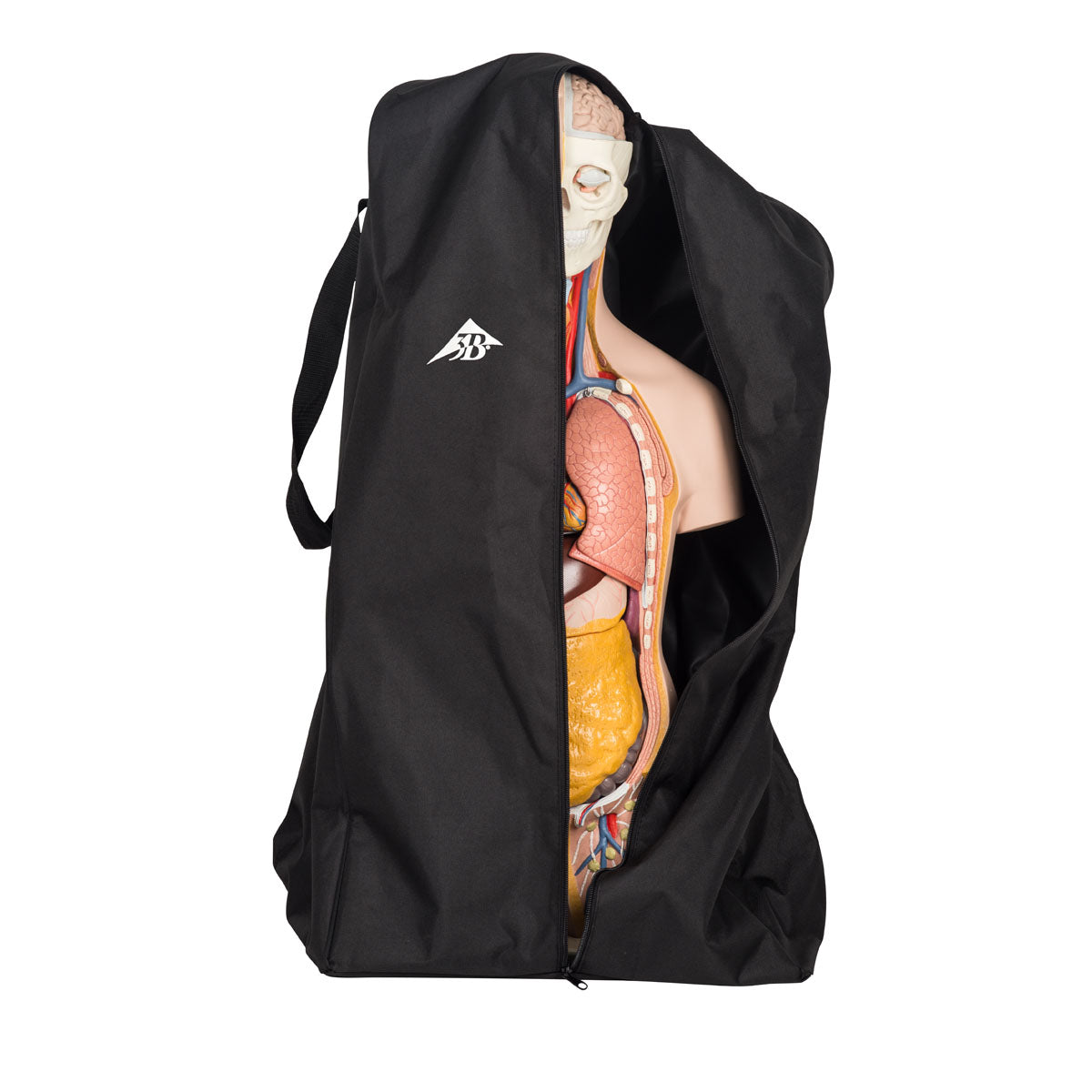 Heavy Dust Torso Cover