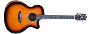 WCG10CE