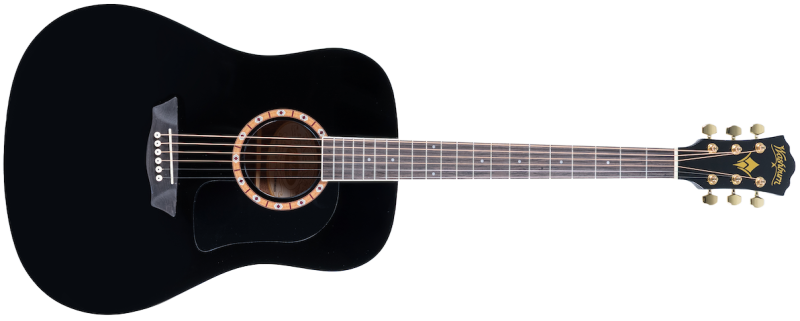 Washburn WD100DL, Black Gloss
