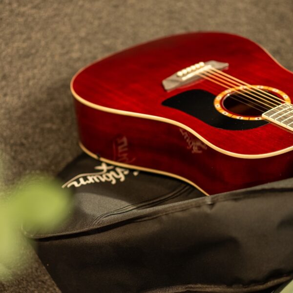 Washburn WD100DL, Transparent Wine Red