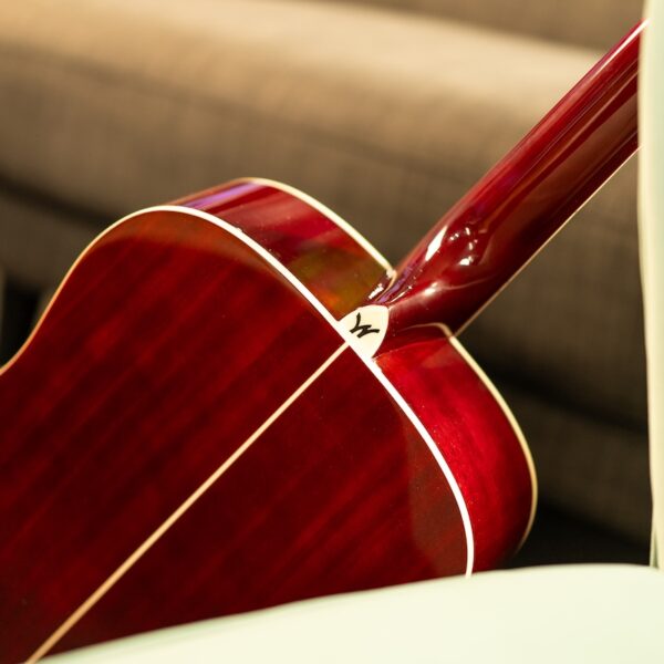 Washburn WD100DL, Transparent Wine Red
