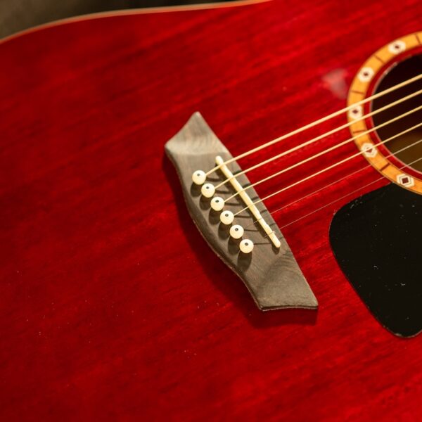 Washburn WD100DL, Transparent Wine Red