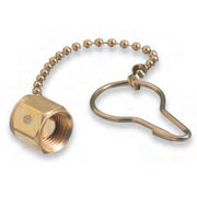 CGA 022 NUT & CHAIN DUST CAP