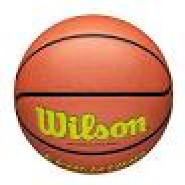 Evolution Game Ball Optic Yellow - 7 / 29.5" - Basketball