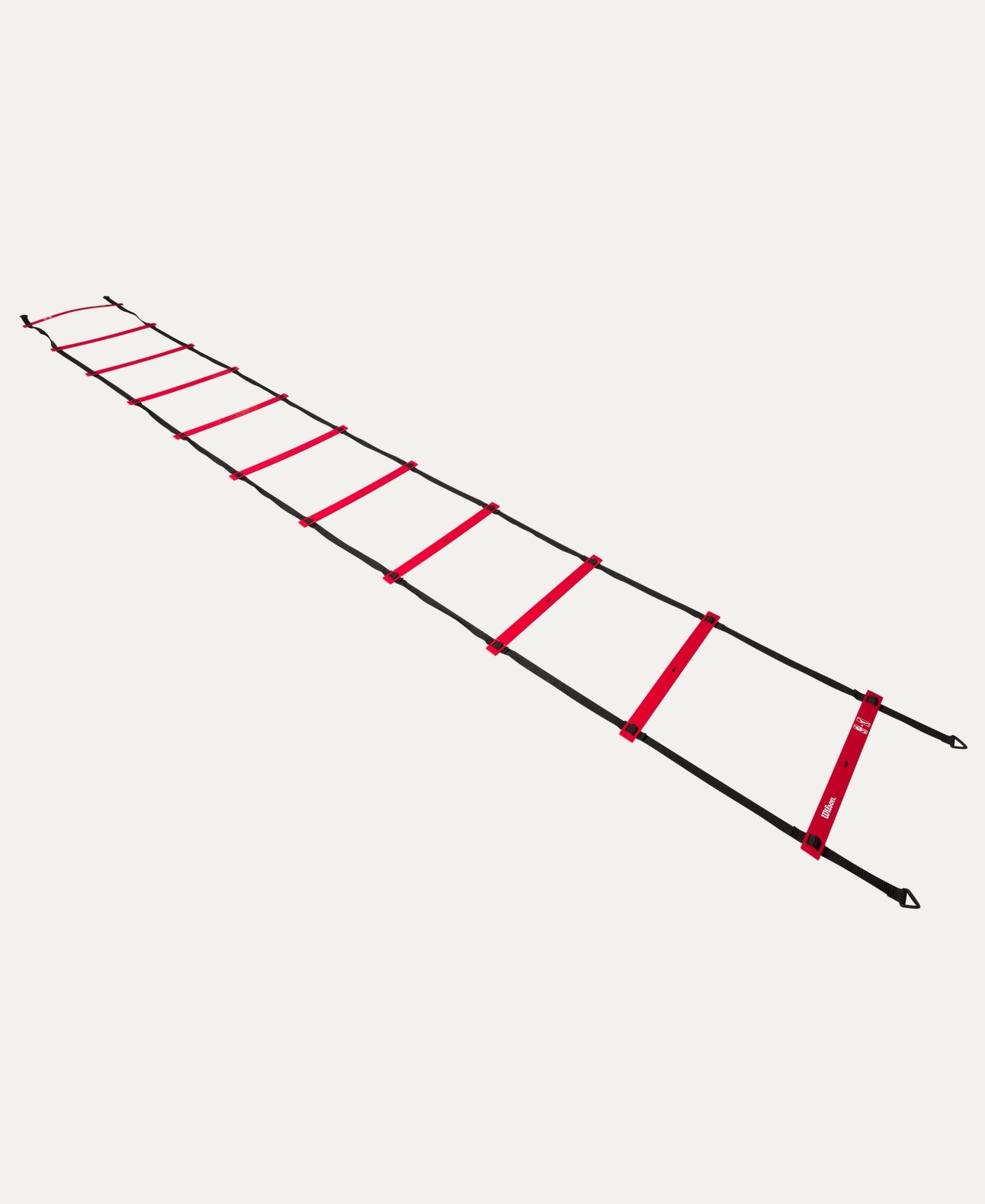 Pro Training Ladder Black - Basketball bags