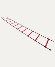 Pro Training Ladder Black - Basketball bags