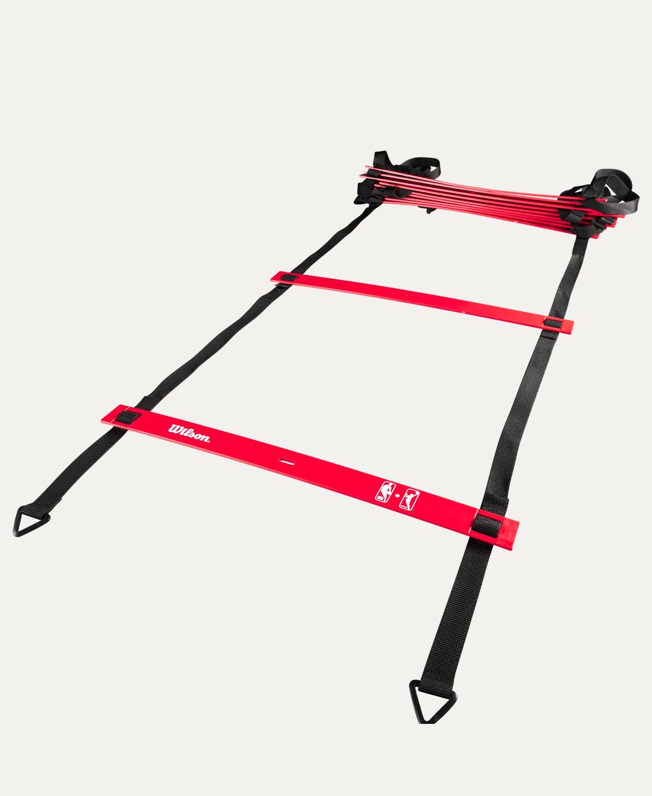Pro Training Ladder Black - Basketball bags