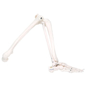 Spare leg (not painted), right, for A10, A10/1, A11, A11/1 and A15
