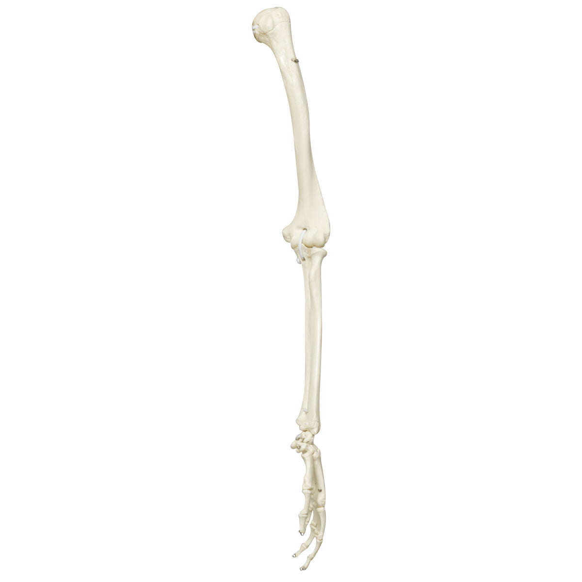 Spare arm (unpainted), left, for A10, A10/1, A12, A12/1, A15 and A15/2