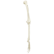 Spare arm (unpainted), left, for A10, A10/1, A12, A12/1, A15 and A15/2