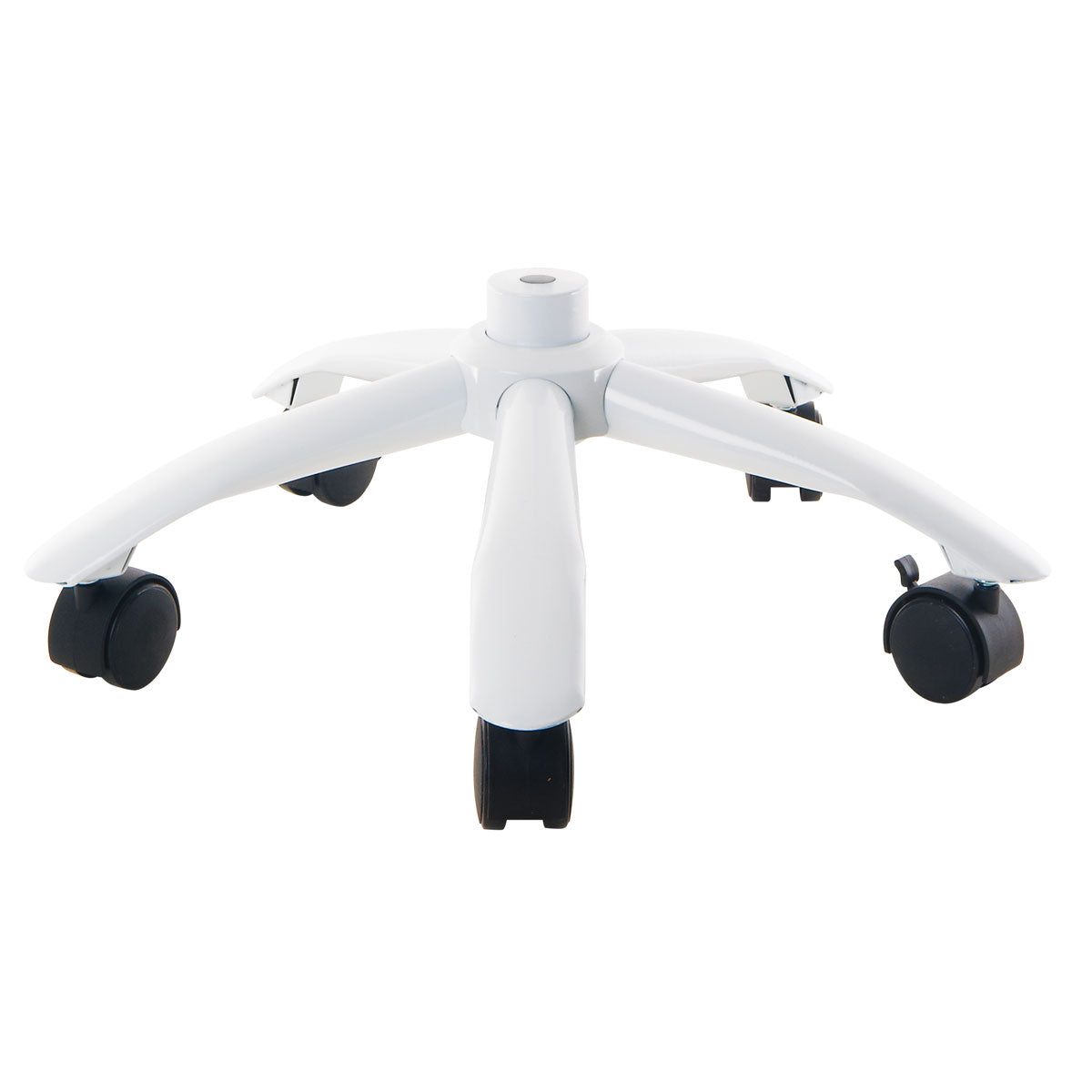 Durable metal stand base with 5 large casters for stability and easy handling. Compatible with all 3B skeletons and muscle figures B50 and B51. Provides a secure, stable support and can be upgraded easily.