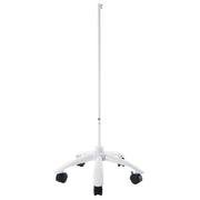 Metal stand with 5 casters (stand and pole) for skeletons