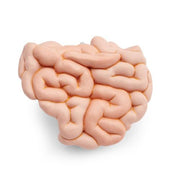 Spare small intestine package, 1 part
