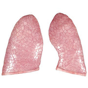 Spare lung, 2 parts