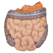 Spare intestine package, 2 parts