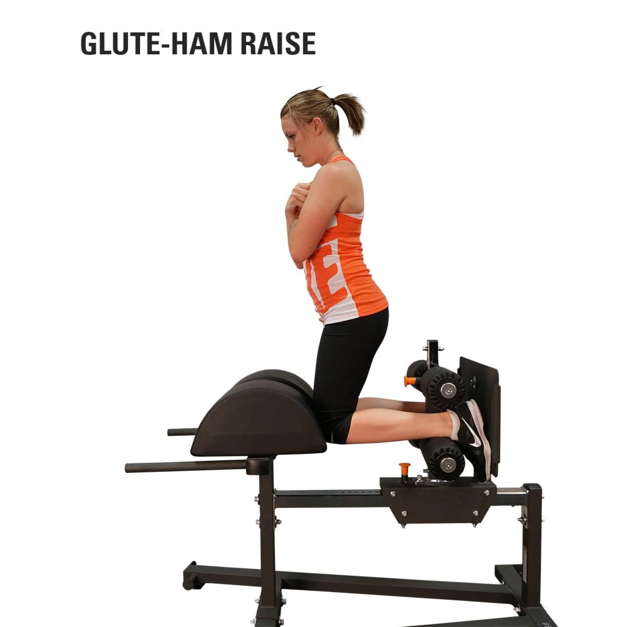 GLUTE HAM DEVELOPER