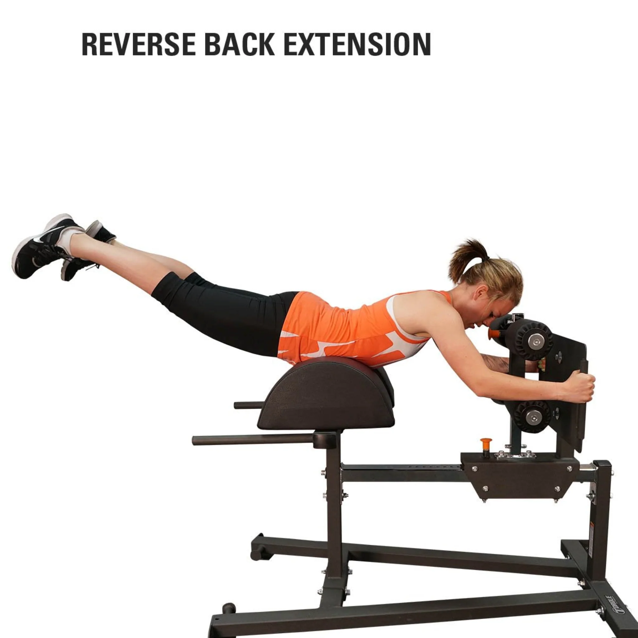 GLUTE HAM DEVELOPER