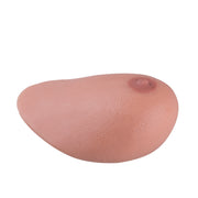 SONOtrain Ultrasound Chest Model with Tumors – Spare Chest