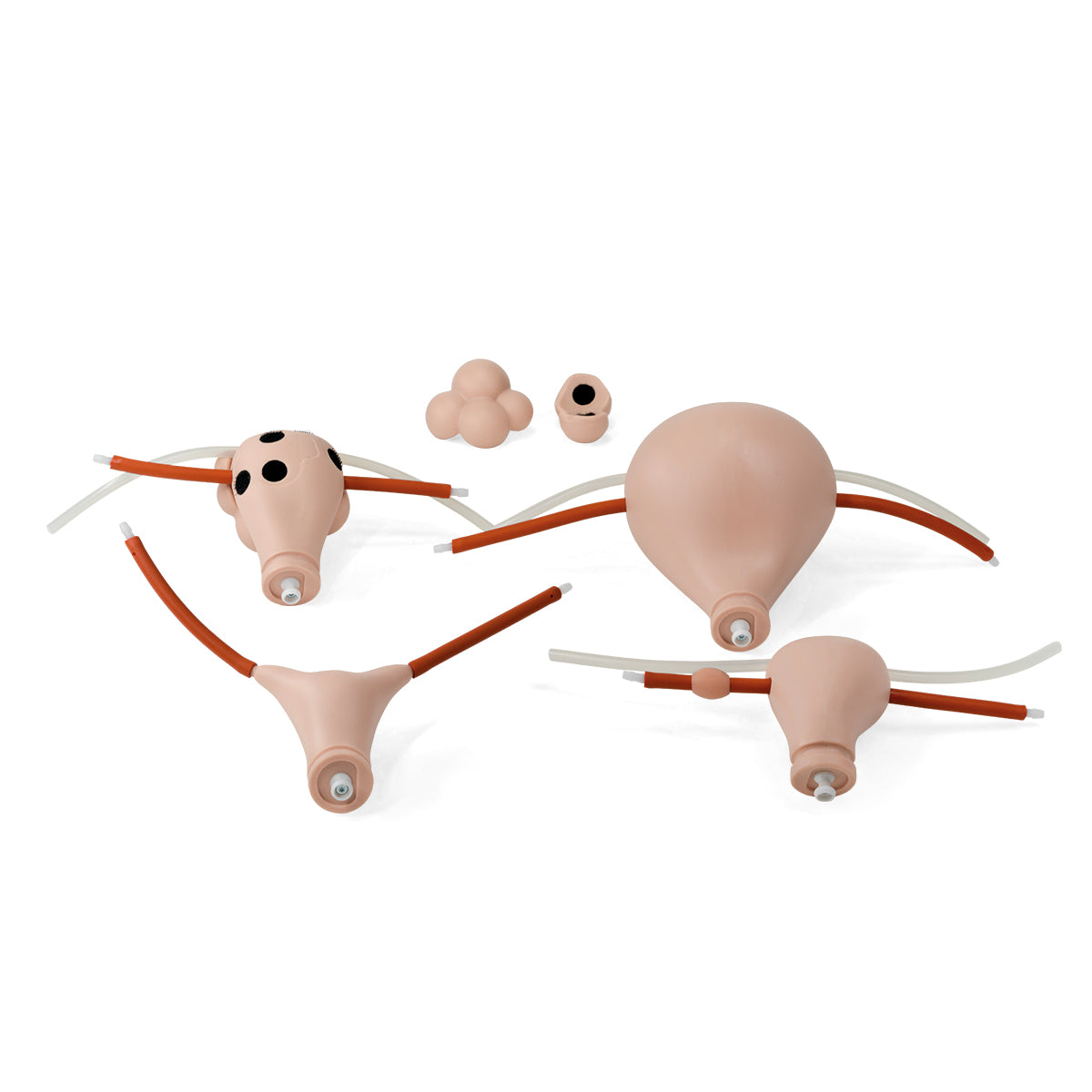 Uteri Set