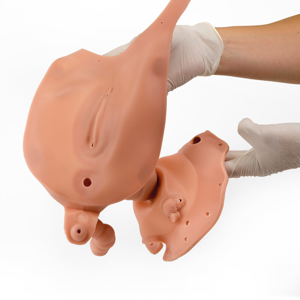 Vagina Insert