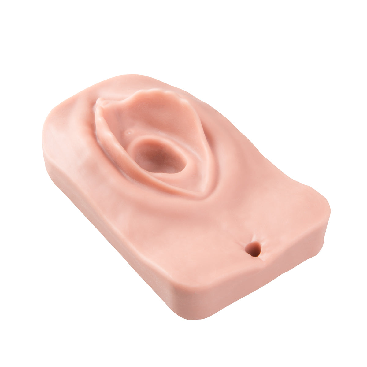 Replacement Set for Episiotomy Trainer