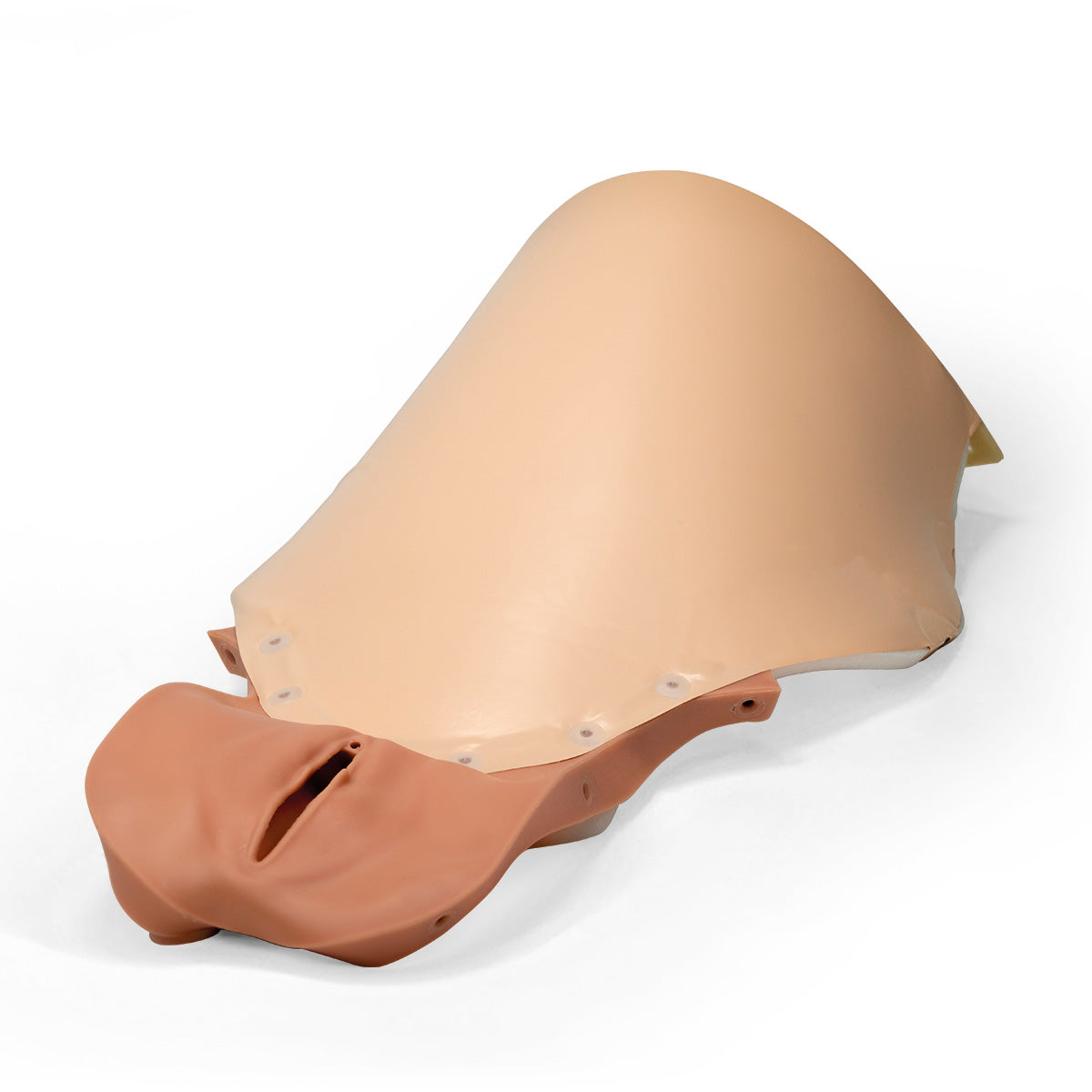 Vagina and Abdominal cover for PPH Trainer P97
