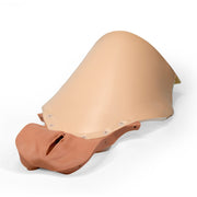 Vagina and Abdominal cover for PPH Trainer P97