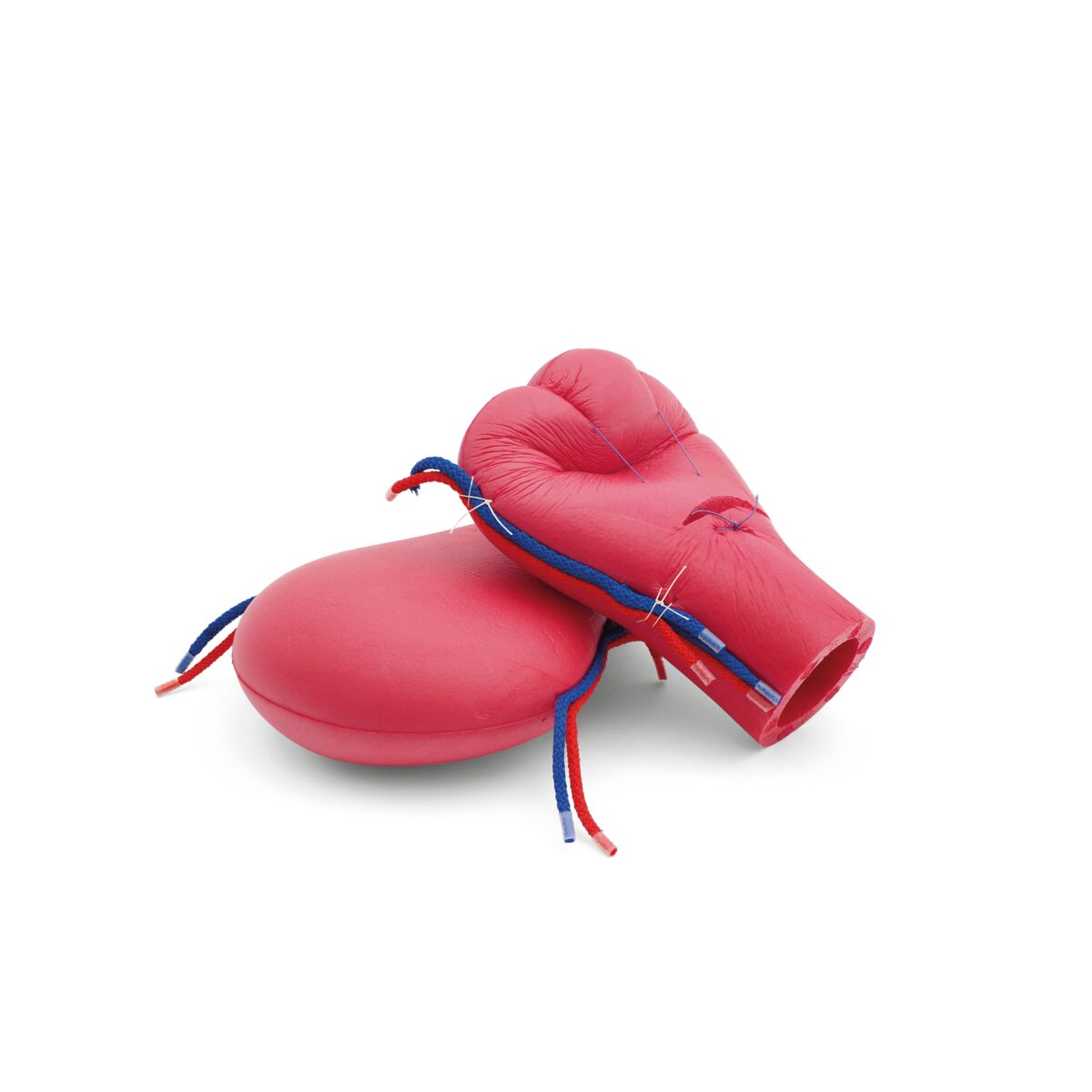Foam uteri 2 pieces