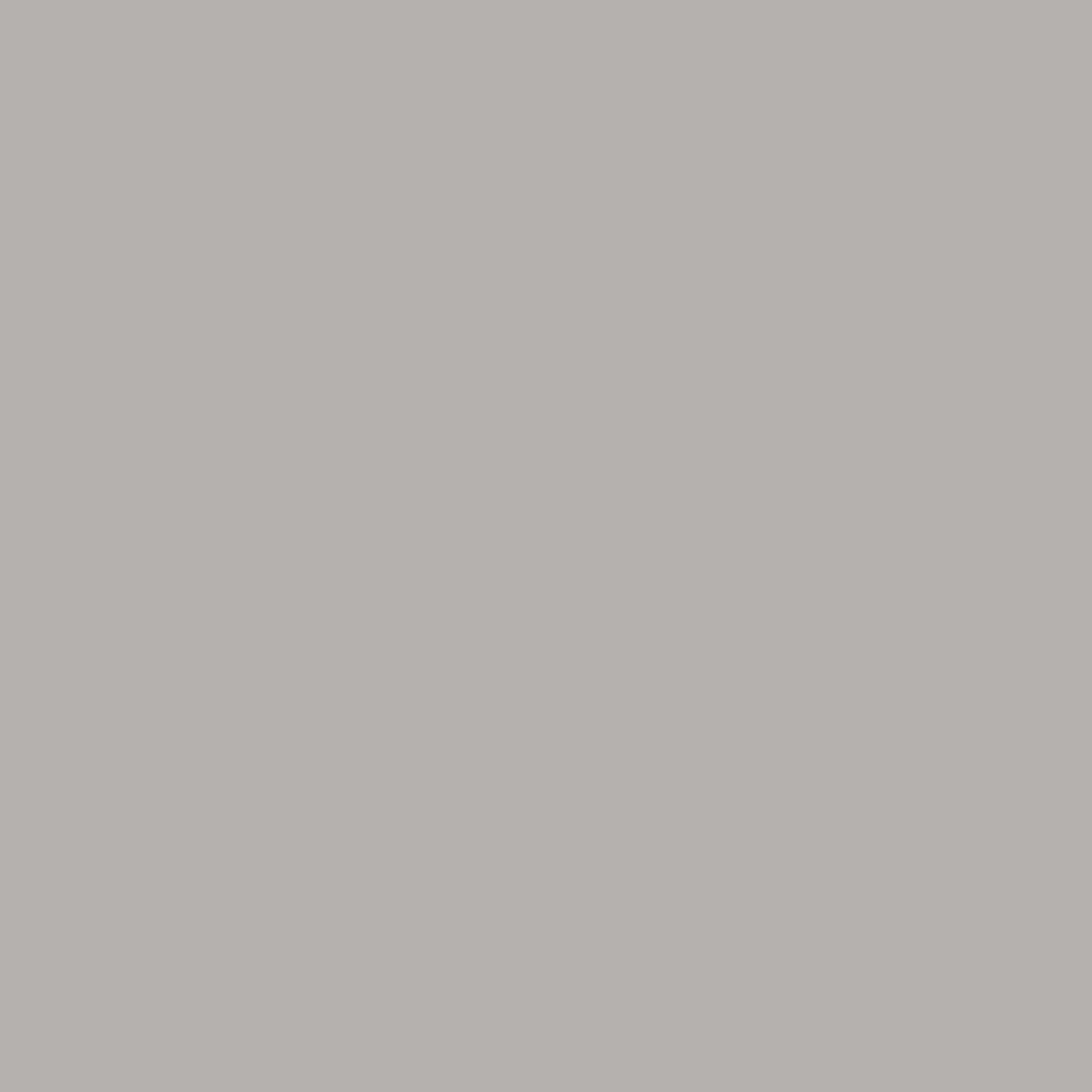 Wren 24''W x 60''L Rectangular Grey HP Laminate Activity Table - Standard Height Adjustable Legs
