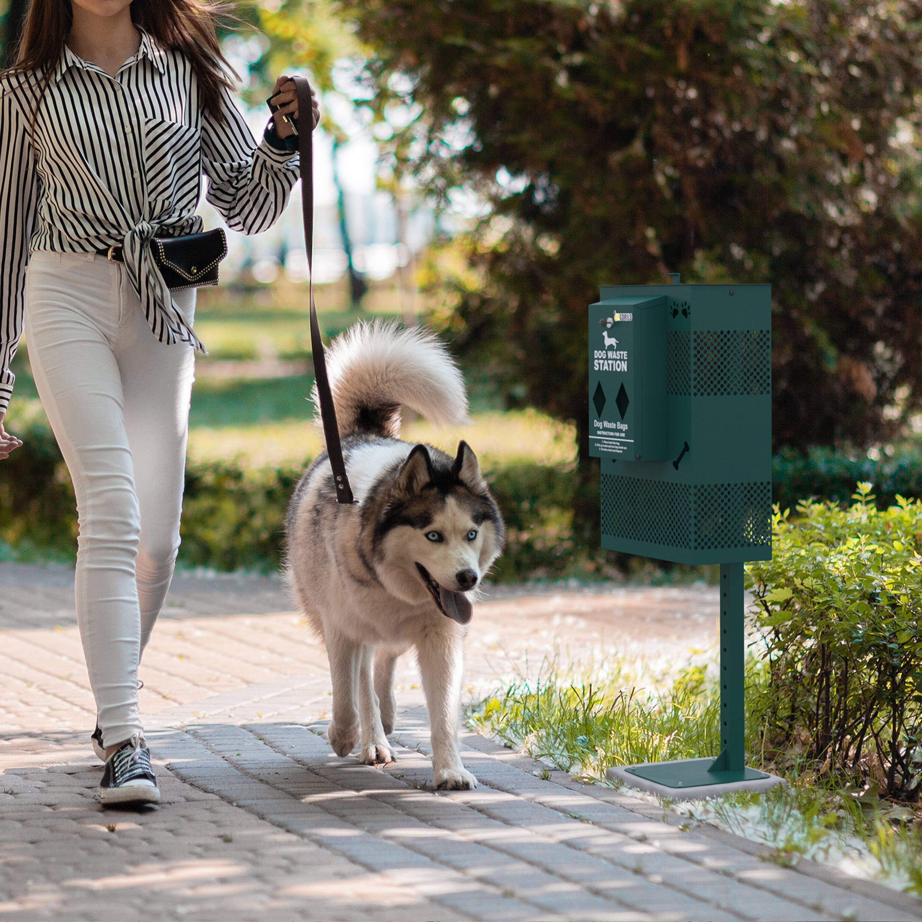 Kessler Compact Dog Waste Station with Rectangular Lidded Trash Can and Locking Roll Waste Bag Dispenser in Green