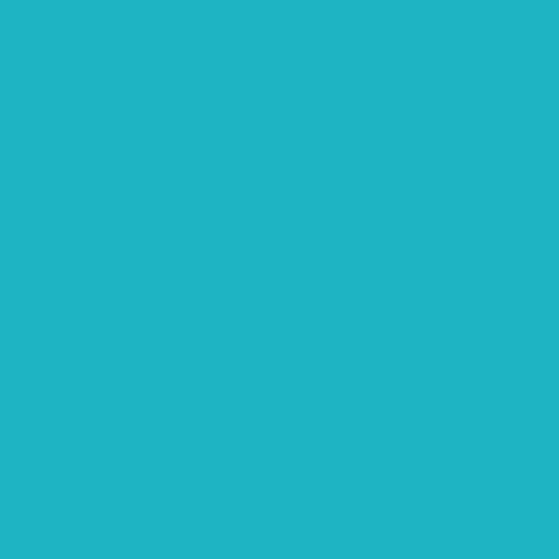 Acrylic Paint Matte, 16oz., Caribbean
