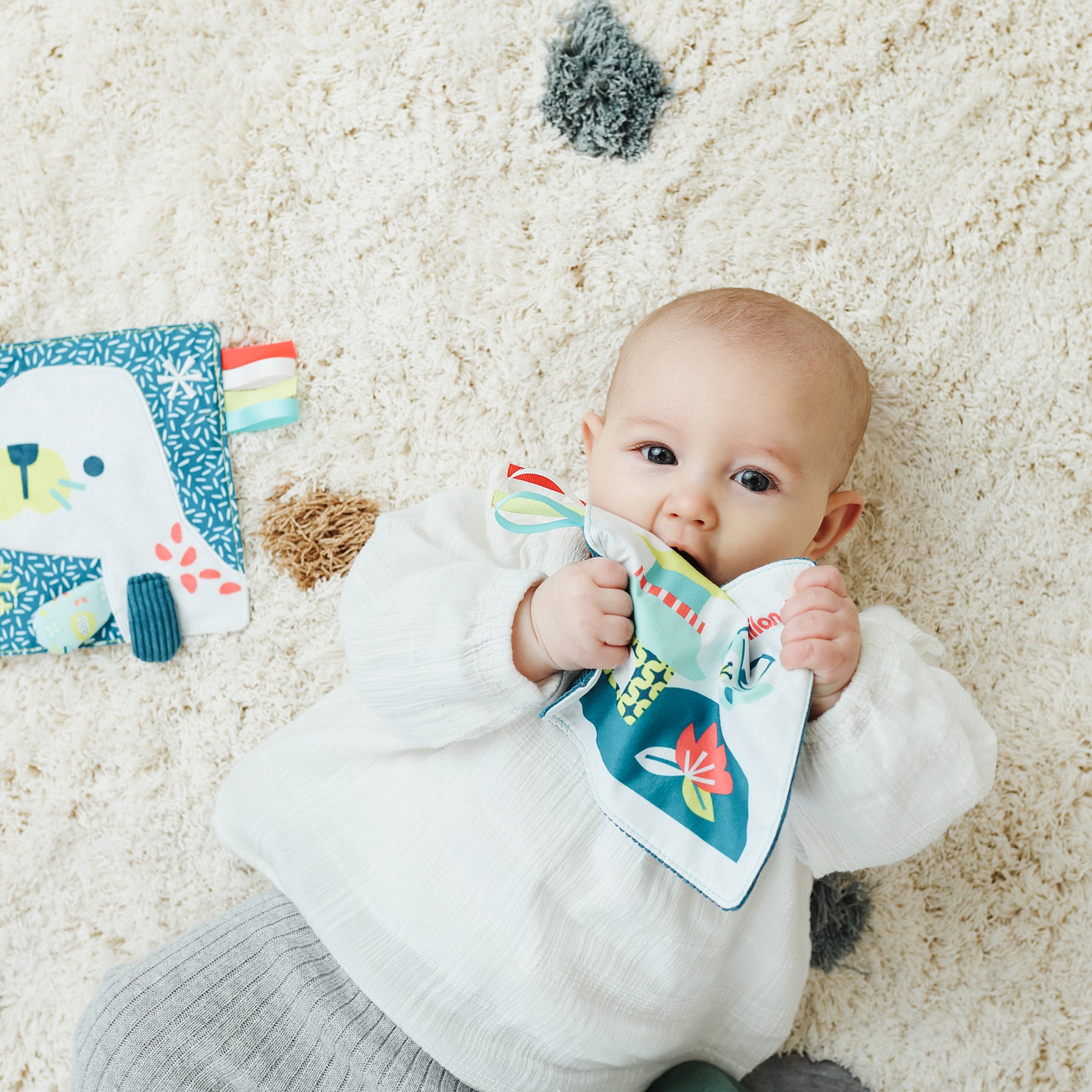 Feel to Learn: Crinkly Sensory Paper, Sea Lion
