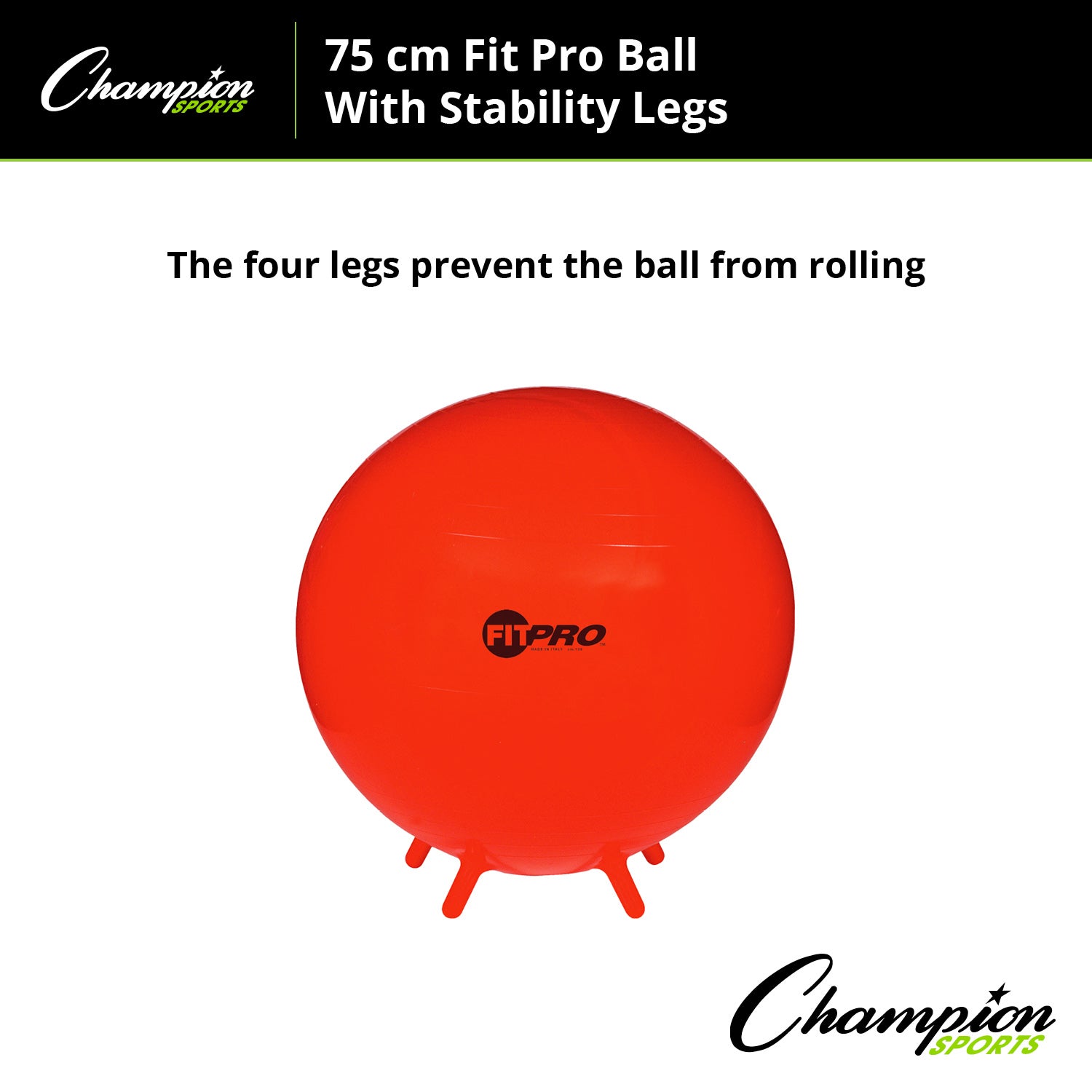 FitPro Ball with Stability Legs, 75cm