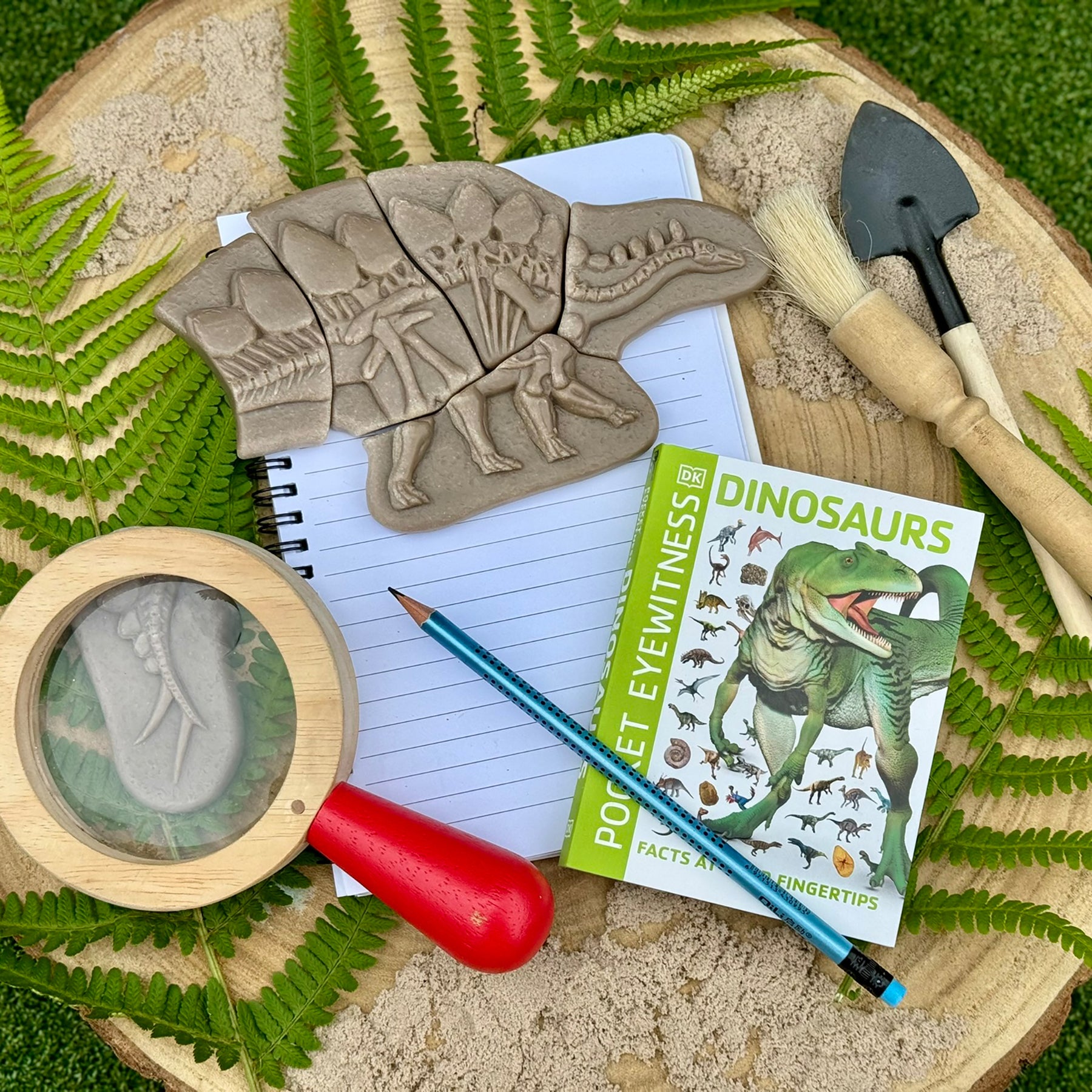 Dig and Discover - Pliosaur & Stegosaurus
